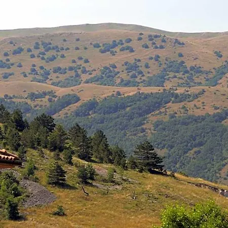 La Pineta Apartment L'Aquila