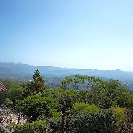 La Pineta *